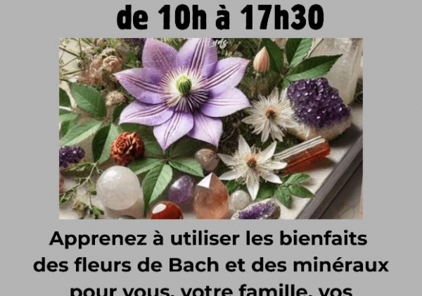 Une alliance des Fleurs de Bach et des minéraux (lithothérapie) le SAMEDI 13 juin à saint ay 